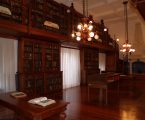 Quase 12 mil utilizadores na Biblioteca de Elvas
