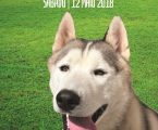 Centenas de cães e criadores em Elvas na 30ª Exposição Canina