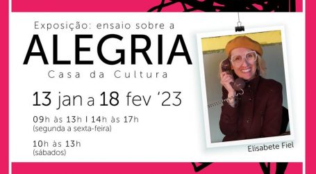 Elvas: A artista elvense Elisabete Fiel expõe os seus trabalhos, na Casa da Cultura
