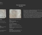A Peça do Mês de fevereiro no Museu de Arqueologia e Etnografia de Elvas António Tomás Pires são placas funerárias.