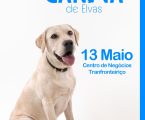 O Centro de Negócios Transfronteiriço de Elvas acolhe a 33ª edição da Exposição Canina