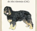 ARRONCHES: 30.ª EXPOSIÇÃO CANINA NACIONAL DO ALTO ALENTEJO
