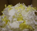 O Município de Campo Maior volta a promover, durante o ano letivo 2023/24, a “Oficina da Flor de Papel e da Pandeireta”