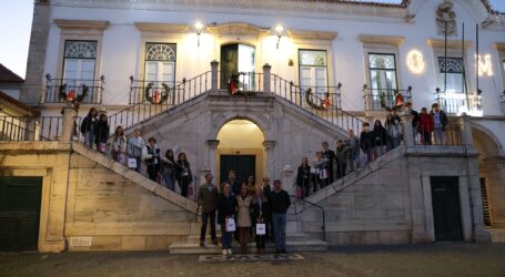 O Vice-Presidente do Município, Paulo Pinheiro, e a Vereadora São Silveirinha receberam nos Paços do Concelho, no dia 13 de dezembro, um grupo de alunos vindos da cidade de Vallentuna, na Suécia.
