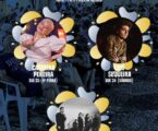 As Noites de Verão regressam à Praça da República