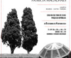 A Casa da Cultura acolhe a exposição “Crer para Ver”, de Patrícia Magalhães, entre 6 de setembro e 4 de outubro.