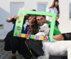 O Grupo dos Amigos dos Animais, em parceria com o Município de Campo Maior e com o apoio de várias instituições e empresas do concelho, organizou a Cãominhada na manhã de 20 de outubro.