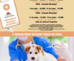 A Campanha de Vacinação Antirrábica 2025 irá realizar-se durante o mês de junho