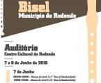 4º Concurso de Flauta de Bisel – Município de Redondo