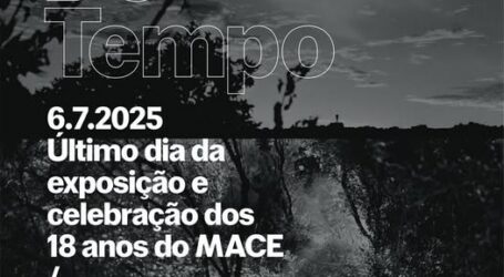 No âmbito da exposição patente ao público “Diante do Tempo” decorre este domingo, dia 6