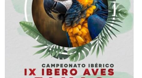 IX edição da Ibero Aves, organizada pela Associação Ornitológica de Elvas