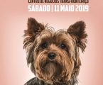 A 31ª Exposição Canina Internacional de Elvas