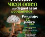 Portalegre: Passeio Micológico com Degustação de Cogumelos
