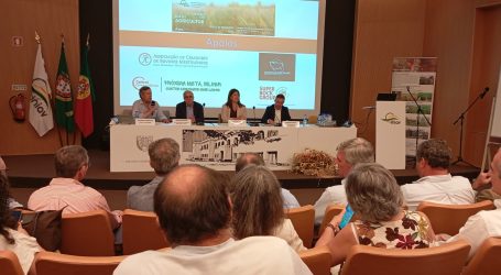 O vice-presidente da Câmara Municipal de Elvas, Nuno Mocinha, marcou presença nas comemorações do Dia do Agricultor