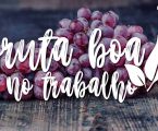 PORTALEGRE: APRESENTAÇÃO DO PROJETO: FRUTA BOA NO TRABALHO
