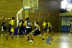SONY DSC