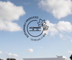 ADEGA MAYOR CONQUISTA CERTIFICAÇÃO DE PRODUÇÃO SUSTENTÁVEL