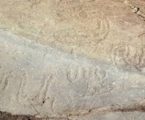 Arte rupestre nas margens do Guadiana pode ser inédita