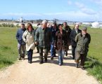 Portalegre: Ação de Limpeza Florestal na Serra de S. Mamede