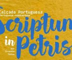 ESTREMOZ: CALÇADA PORTUGUESA EM EXPOSIÇÃO NA VILA DE ÉVORA MONTE