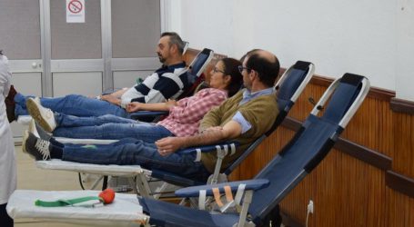 COLHEITA DE SANGUE EM SOUSEL