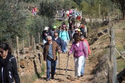 Caminhada
