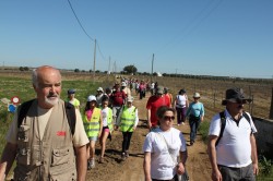 Caminhada_Freguesias _reguengos