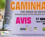 Avis: “Por Terras do Mestre” a assinalar o Dia Mundial da Diabetes