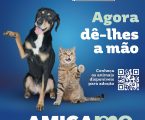 Intermarché apoia associações de proteção animal com campanha solidária Amiga-me