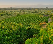 Congresso_Desenvolvimento_Rural