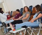 Três dezenas de dadores de sangue em Sousel