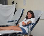 Avis abraçou colheita de sangue