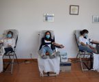 Monforte dá sangue no feminino