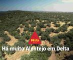 Delta Cafés honra as suas raízes com a nova campanha “Há muito Alentejo em Delta”