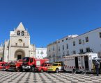 Dia Mundial da Floresta assinalado na Praça da República