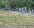 Elvas:  Autarquia abre candidaturas para as hortas comunitárias