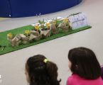 Escolas assinalaram Dia Mundial da Árvore.