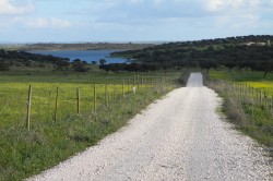 Estrada_acesso_parque_merendas_Campinho