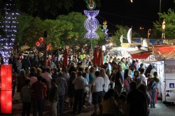 Exporeg (1)