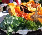 Campo Maior: Feira de Frutos e Legumes de Outono no Jardim Municipal.
