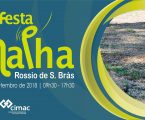 Festa da Malha regressa a Évora
