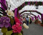 Faltam 90 dias para as Festas do Povo de Campo Maior
