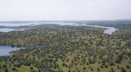Chefe Hélio Loureiro apresenta showcooking no Festival Ibérico do Javali, em S. Marcos do Campo
