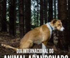 No Dia Internacional do Animal Abandonado, a GNR alerta para os crimes de abandono e maus tratos de animais de companhia