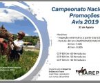 Hipismo: Campeonato Nacional de Promoções 2019 decorre em Avis