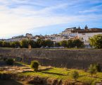 Elvas descobre a biodiversidade das suas muralhas com o projeto de voluntariado “Os fossos também têm vida”