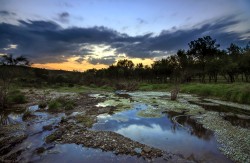 LandscapeHerdadeContenda-Charco-net