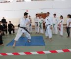 PONTE DE SOR: MEGA ESTÁGIO DE ARTES MARCIAIS.