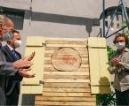 Nãm Urban Farm e Delta Cafés aumentam produção de cogumelos a partir da borra do café