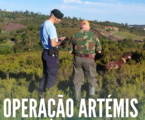 GNR | Operação Artémis – Fiscalização ao exercício da caça